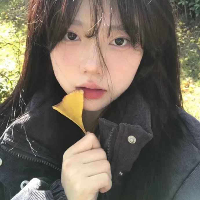 那一年，我们不能追的女孩